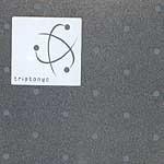 TONI CETINSKY - TRIPTONIC